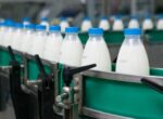 «Известия»: фермеры попросили Минпромторг РФ отменить маркировку молочной продукции