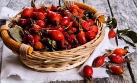 В России введут новый ГОСТ на шиповник