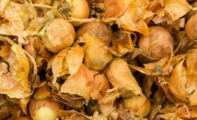 В ГД призвали магазины бесплатно раздавать луковую шелуху перед Пасхой