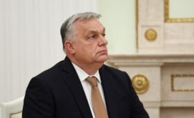 TEC: венгры отнеслись с неодобрением к реакции Запада на поражение Орбана