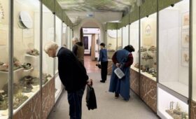 «Мосбилет» составил подборку мероприятий ко дню рождения Биологического музея