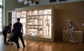 Площадки Биологического музея Москвы можно посетить с помощью сервиса «Мосбилет»