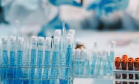 Медведев заявил о высоких рисках появления новых инфекций