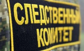 В Москве возбуждено дело против журналистки Марианны Беленькой