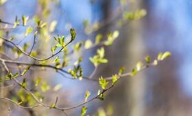 Россиян предупредили о росте ультрафиолетового индекса