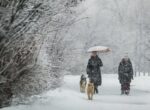 Электричество отключилось в некоторых округах Подмосковья из-за непогоды