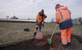 Городские цветники подготовили к весенне-летнему сезону в Москве