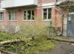 Число погибших из-за падения деревьев в Самарской области выросло до трех