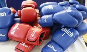 World Boxing допустила российских боксеров до соревнований под своей эгидой