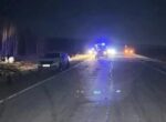 Три человека погибли при столкновении автомобиля с лошадью в Красноярском крае