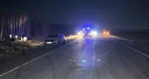 Три человека погибли при столкновении автомобиля с лошадью в Красноярском крае