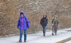 Снежный покров до 8 см сформируется в Подмосковье 24 апреля