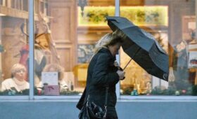 МЧС предупредило о дожде, мокром снеге и сильном ветре в столичном регионе