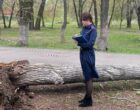Два человека погибли из-за падения деревьев в Самаре