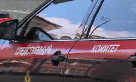 В СК заявили, что украинские солдаты спускали собак на российских пленных