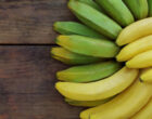 Врач Тяжельников: зеленые бананы полезнее желтых для пищеварения