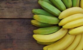 Врач Тяжельников: зеленые бананы полезнее желтых для пищеварения