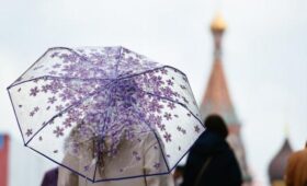 Пятая часть от месячной нормы осадков выпала в Москве 11 апреля
