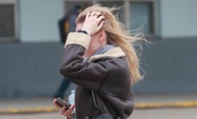 Желтый уровень опасности объявили в Москве и Подмосковье из-за ветра