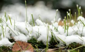 Высота снежного покрова в Подмосковье местами достигла 11 см