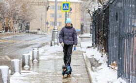 Оранжевый уровень опасности объявлен в Московском регионе из-за гололедицы и ветра