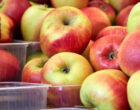 Вице-премьер РФ Трутнев потребовал объяснений по поводу стоимости яблок на Чукотке