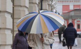 Мокрый снег с дождем и порывистый ветер ожидаются в Москве 23 апреля