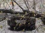 В Москве продолжают ликвидировать последствия сильного ветра и снегопада