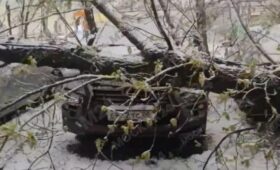 В Москве продолжают ликвидировать последствия сильного ветра и снегопада