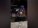 Агенство «Москва»: пять человек пострадали при падении автомобиля в пруд в парке «Кусково»