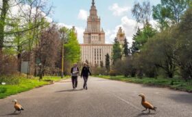 Температура до 20 градусов ожидается в Москве в первой декаде мая