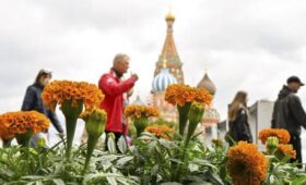 Юрист Русяев: за сорванные цветы в Москве грозит штраф до 5 тысяч рублей