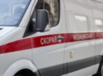 Стая собак напала на пятилетнюю девочку в Красноярском крае