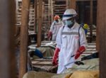 Число возможных случаев заражения Эболой превысило 900