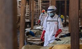Число возможных случаев заражения Эболой превысило 900