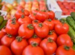 ФАС сообщила о снижении цен на социальные товары в регионах РФ
