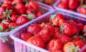 Клубника в России подешевела почти на треть за месяц