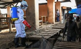 Число предполагаемых жертв вспышки Эболы в ДР Конго превысило 200 человек