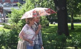 Воздух в Москве прогрелся до 30 градусов
