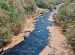Утечка нефтяной жидкости произошла на юге Узбекистана из-за схода селя