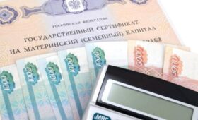 В РФ могут разрешить многодетным семьям тратить маткапитал на покупку машины