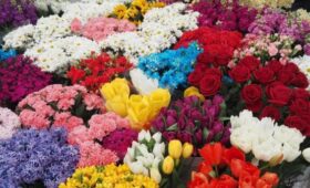Россия временно ограничит ввоз цветов из Армении с 22 мая