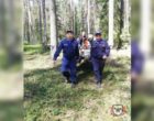 Пенсионер выжил после пяти дней без еды и воды в лесу под Шатурой