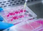 Китай начал первый в мире эксперимент с искусственным эмбрионом в космосе