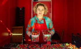 Павильоны «Ягодные сезоны» открылись по всей Москве
