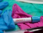 BBC: вспышка Эболы в ДРК и Уганде могла затронуть более 1 тысячи человек