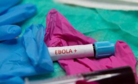 BBC: вспышка Эболы в ДРК и Уганде могла затронуть более 1 тысячи человек