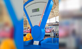 Посетители рынка в Минске смогут узнать свой вес в картофелинах