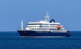 ВОЗ предположила, что на лайнере MV Hondius произошла вспышка вируса Андес
