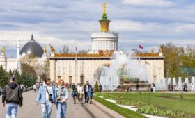 Территорию ВДНХ и парка «Останкино» обработают от клещей 5–6 мая